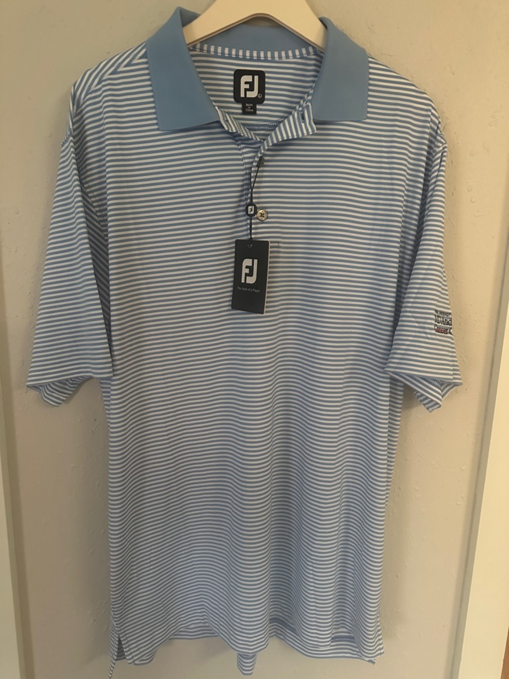 FootJoy Blue & White Striped Performance Golf Polo